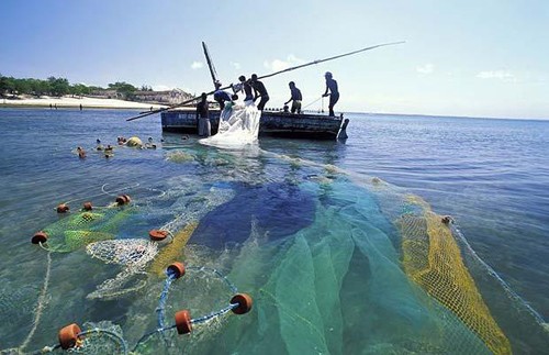 Communications workshop on sea and islands - ảnh 1